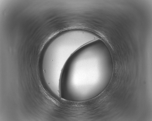 X0000061110535200511180937