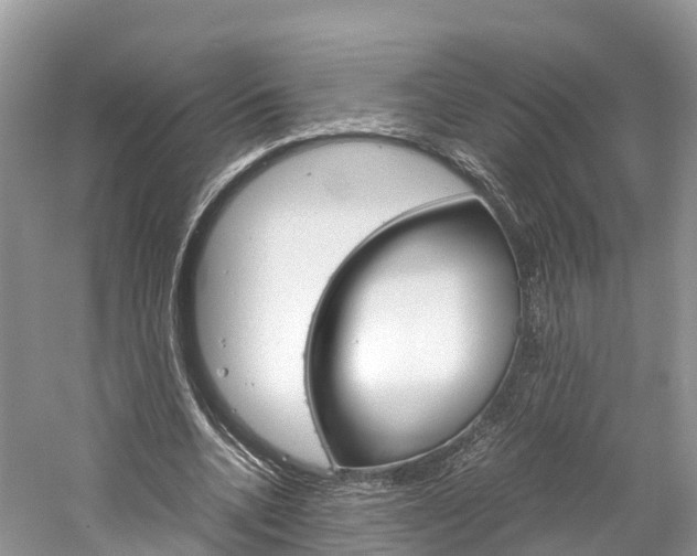 X0000061110536200511180937