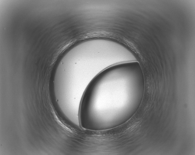 X0000061110538200511180937
