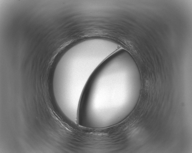 X0000061110539200511180937