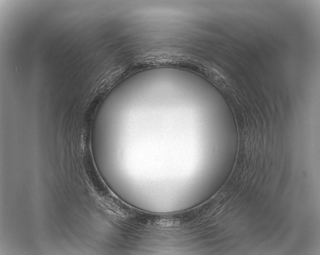 X0000061110546200511180937