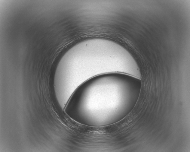 X0000061110548200511180937