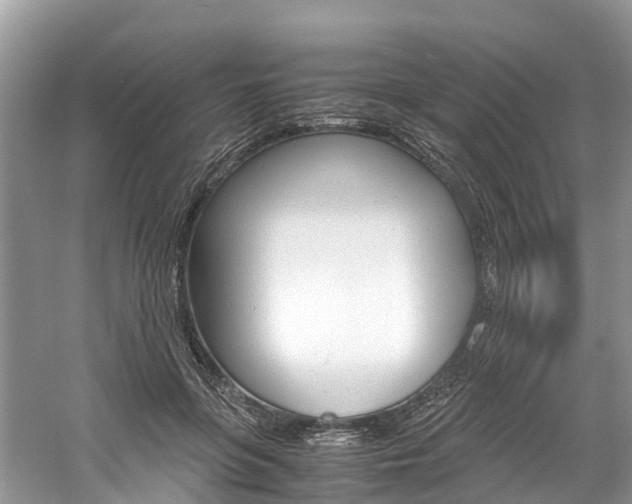 X0000061110551200511180937