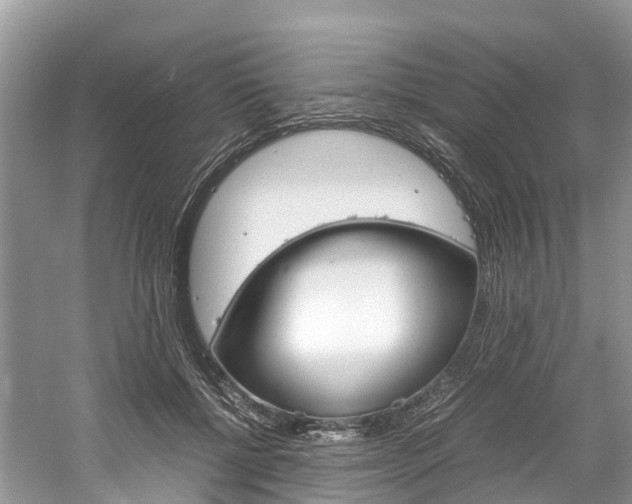X0000061110552200511180937