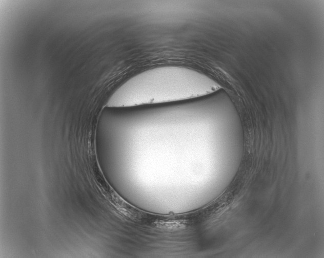 X0000061110553200511180937