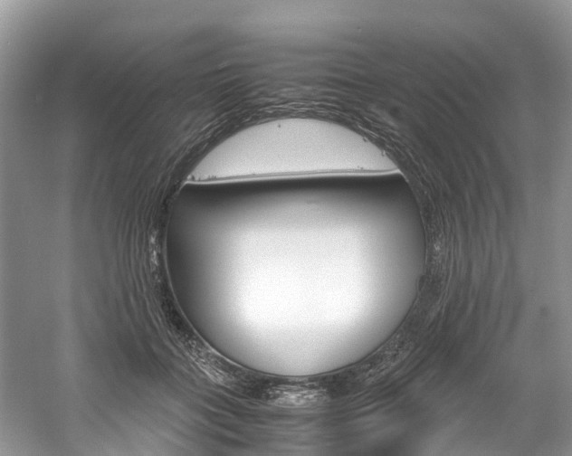 X0000061110555200511180937