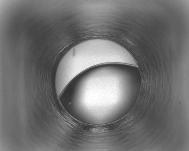 X0000061110556200511180937