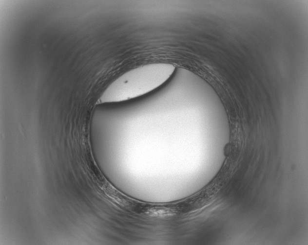 X0000061110557200511180937