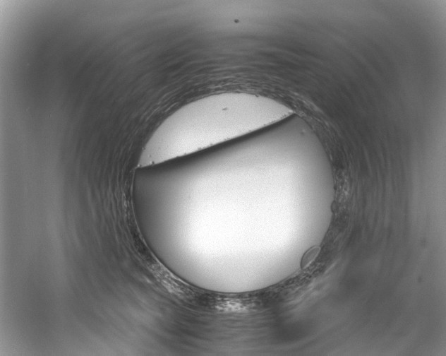 X0000061110565200511180937