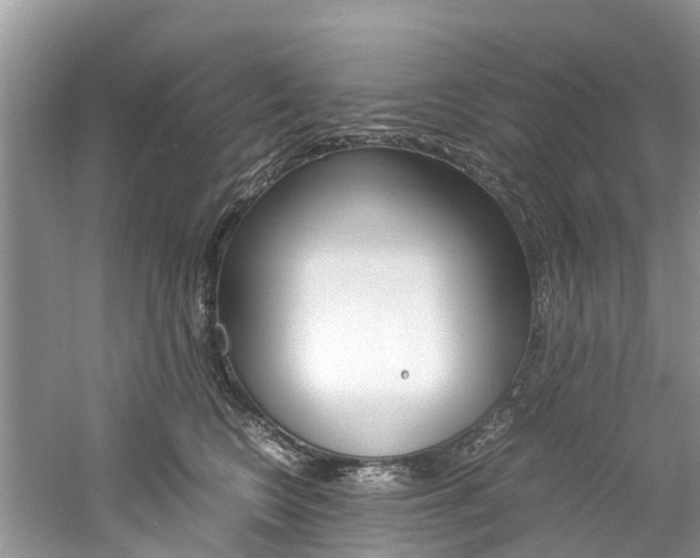 X0000061110566200511180937