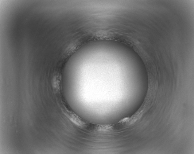 X0000061110576200511180937