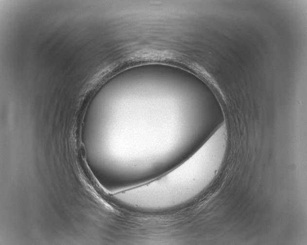 X0000061110581200511180937