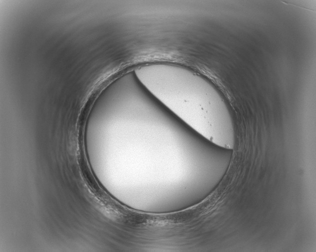 X0000061110582200511180937