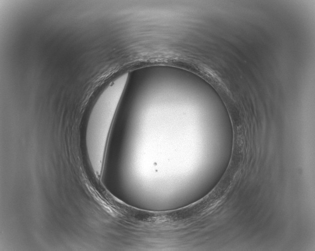 X0000061110589200511180936
