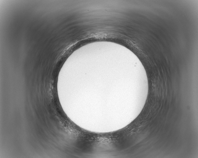 X0000061110592200511180936