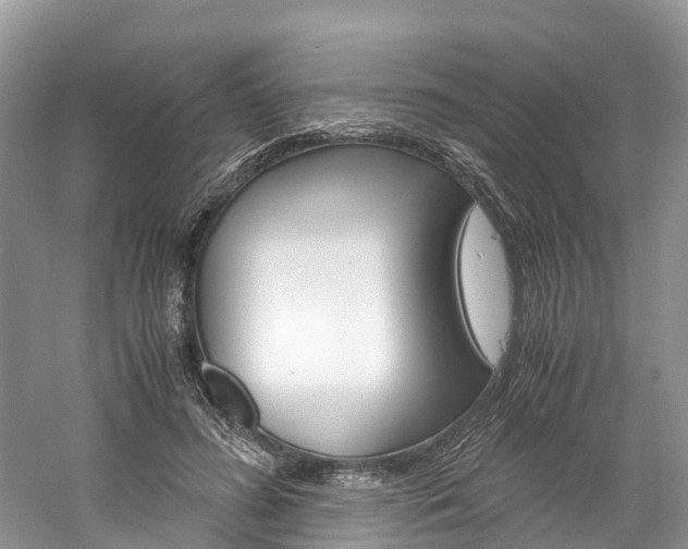 X0000061110596200511180936
