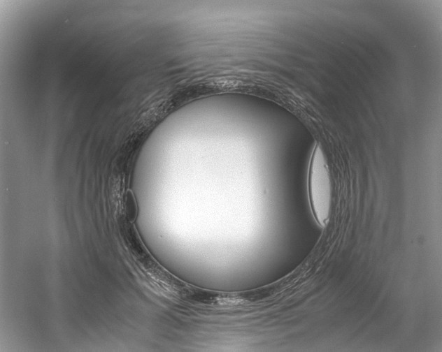X0000061110605200511180936