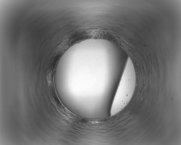 X0000061110611200511180936