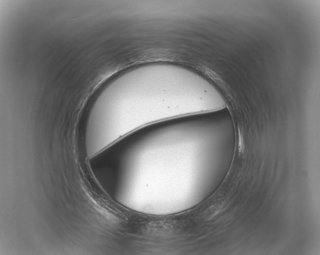 X0000061110627200511180935
