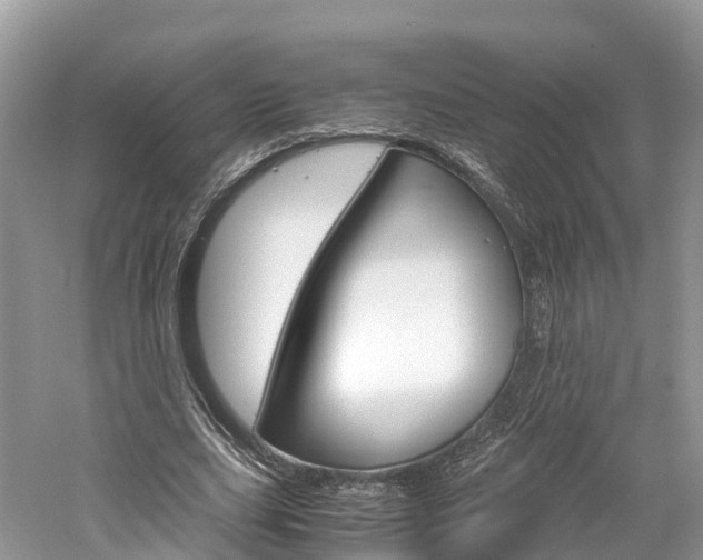 X0000061110631200511180935