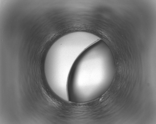 X0000061110643200511180935