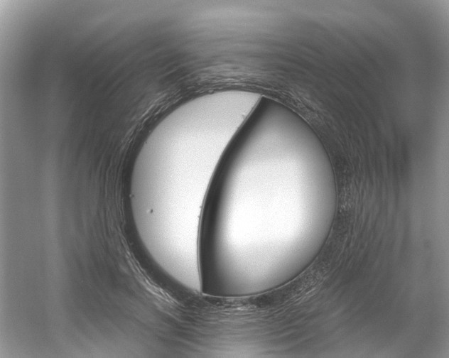 X0000061110646200511180935