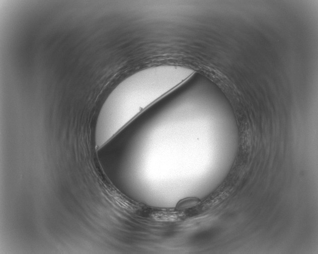 X0000061110661200511180936