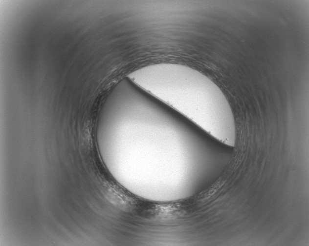 X0000061110662200511180936