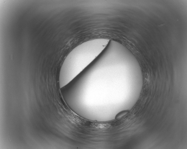 X0000061110663200511180936