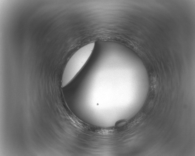 X0000061110664200511180936