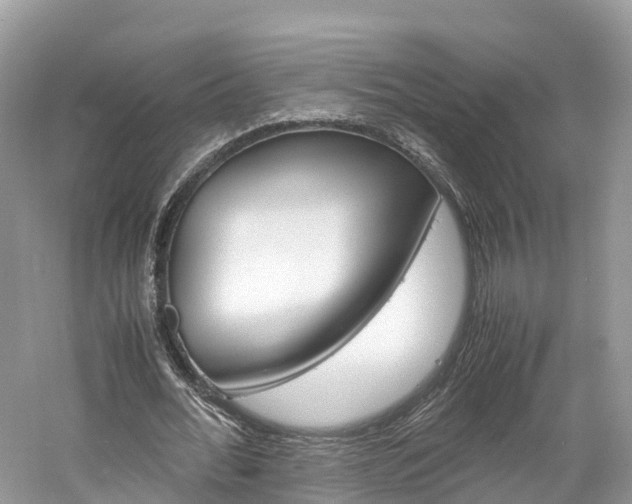 X0000061110676200511180935