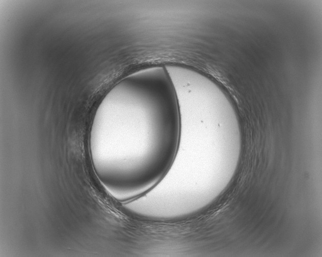 X0000061110681200511180935