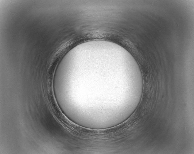 X0000061110683200511180935