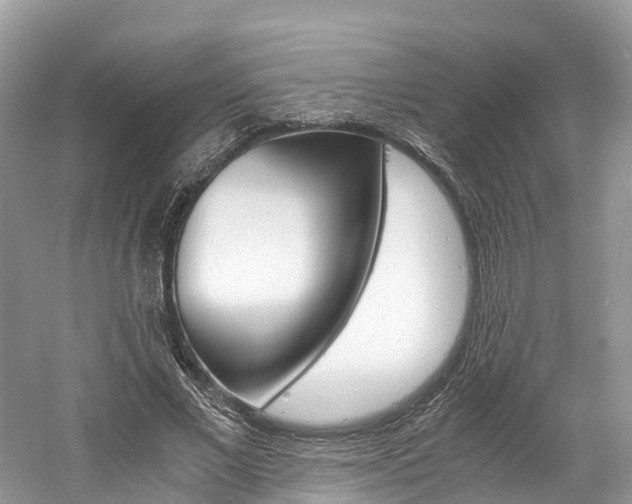 X0000061110685200511180935