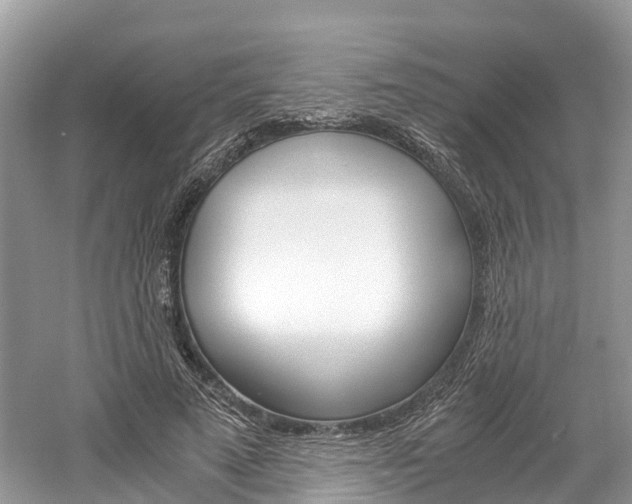 X0000061110689200511180935