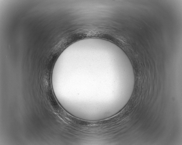 X0000061110691200511180935