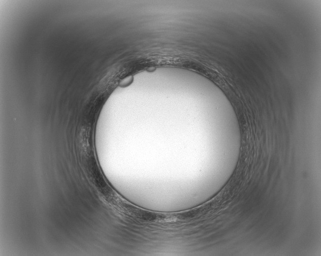 X0000061110695200511180935