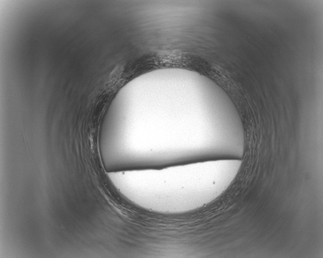 X0000061110703200511180934
