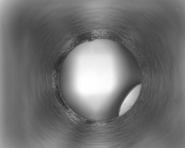 X0000061110712200511180934