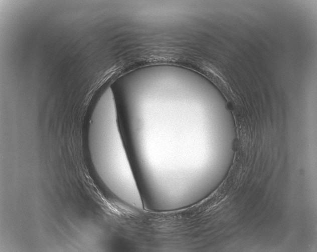X0000061110729200511180933