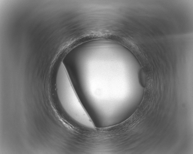 X0000061110736200511180933