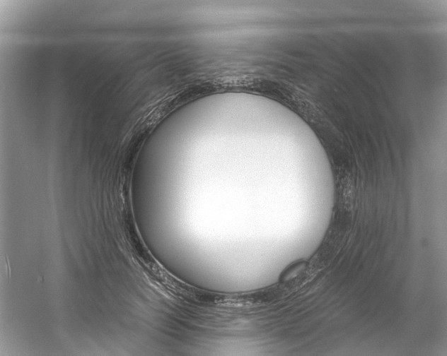 X0000061110746200511180934