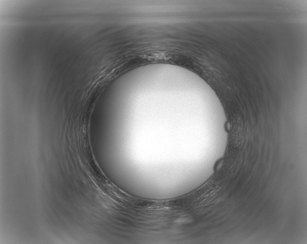 X0000061110747200511180934