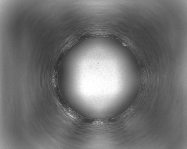 X0000061110764200511180934