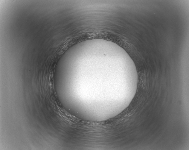 X0000061110770200511180933