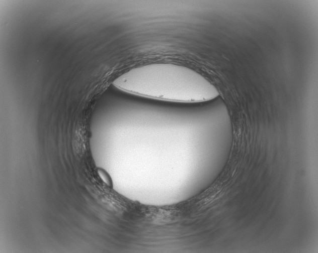 X0000061110772200511180933