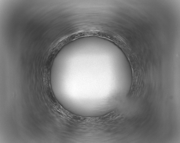 X0000061110773200511180933