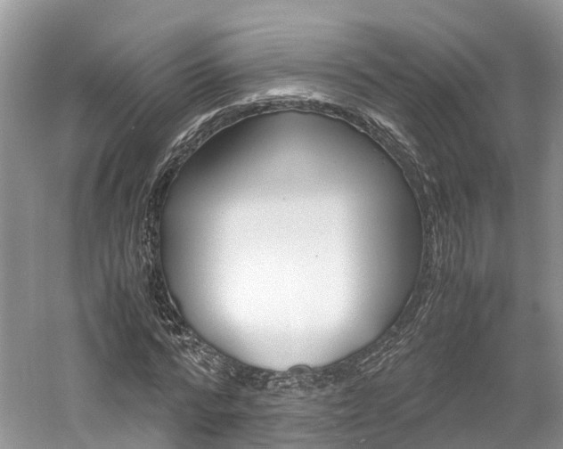 X0000061110776200511180933