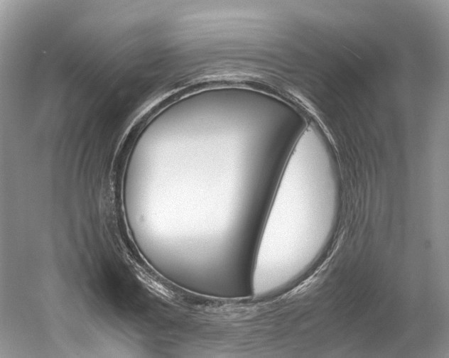 X0000061110779200511180933