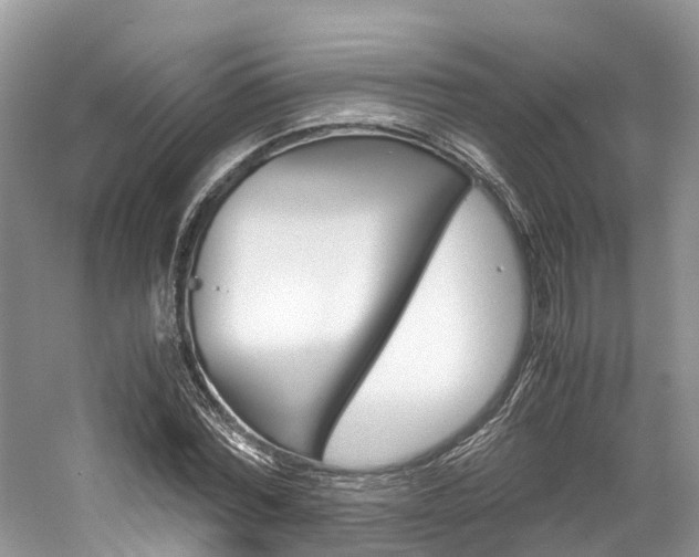 X0000061110780200511180933